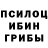 Псилоцибиновые грибы мухоморы Lexa Kanchenko