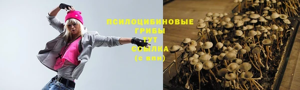дмт Балахна
