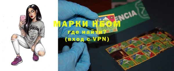 ПСИЛОЦИБИНОВЫЕ ГРИБЫ Аркадак