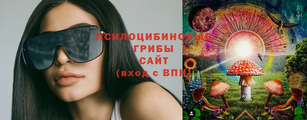 ПСИЛОЦИБИНОВЫЕ ГРИБЫ Аркадак